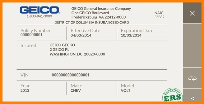 100258529 On Free Fake Auto Insurance Card Template Sokobanjs In