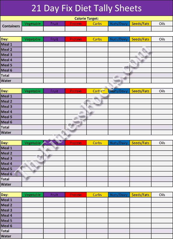 21 Day Fix Workout Schedule Portion Control Diet Sheets Document Excel