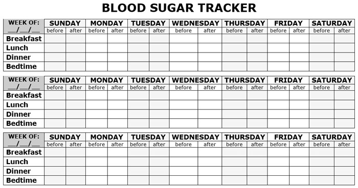 5 Free Printable Blood Sugar Log Templates Organization Document Chart Template