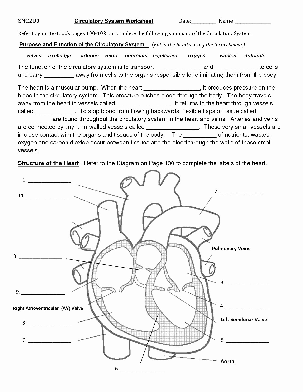 50 Best Of Blood Pressure Worksheets Printable DOCUMENT IDEAS Document