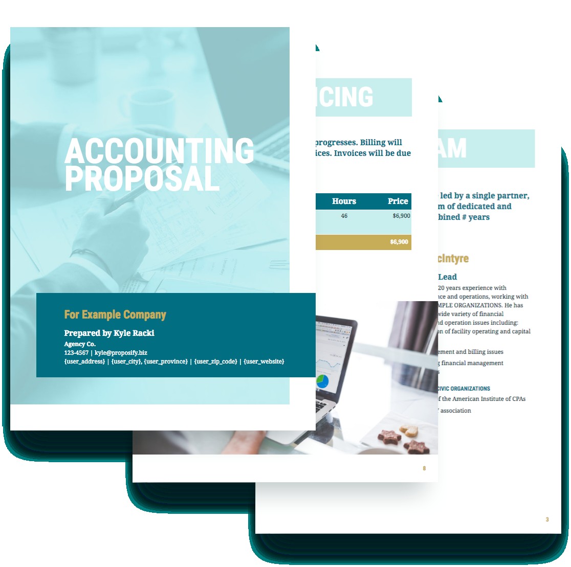 Accounting Proposal Template Free Sample Proposify Document For