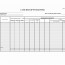 Apartment Rent Roll Template Excel Best Of Residential Document