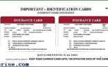 Auto Insurance Card Template Solutionet Org Document Car Sample