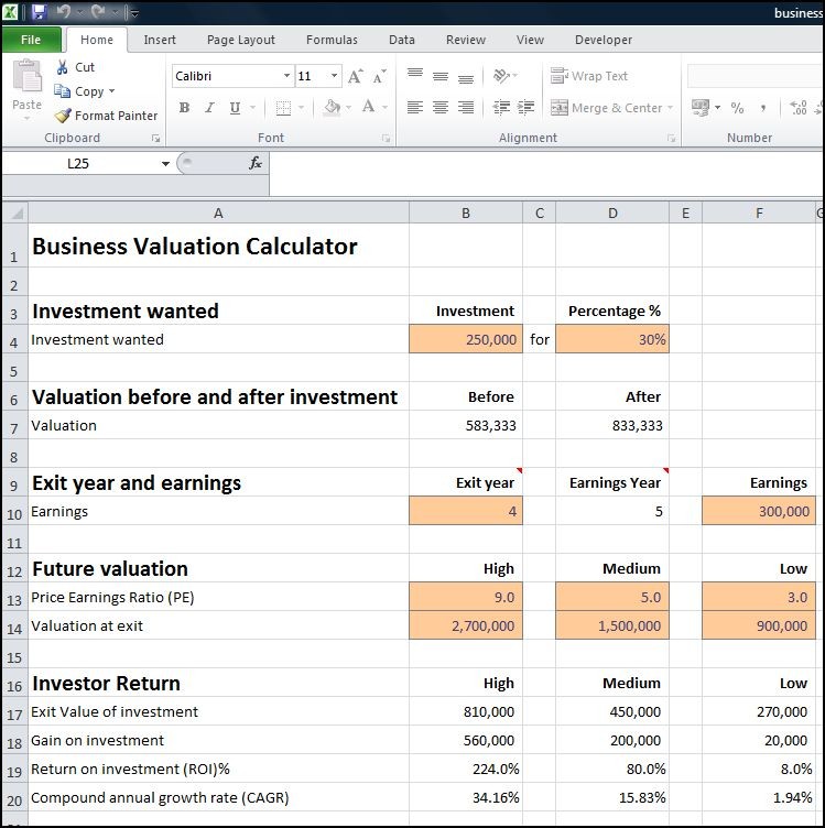 Business Valuation Calculator For A Startup Plan Projections Document