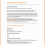 Campaign Brief Template New Media Best Marketing Document