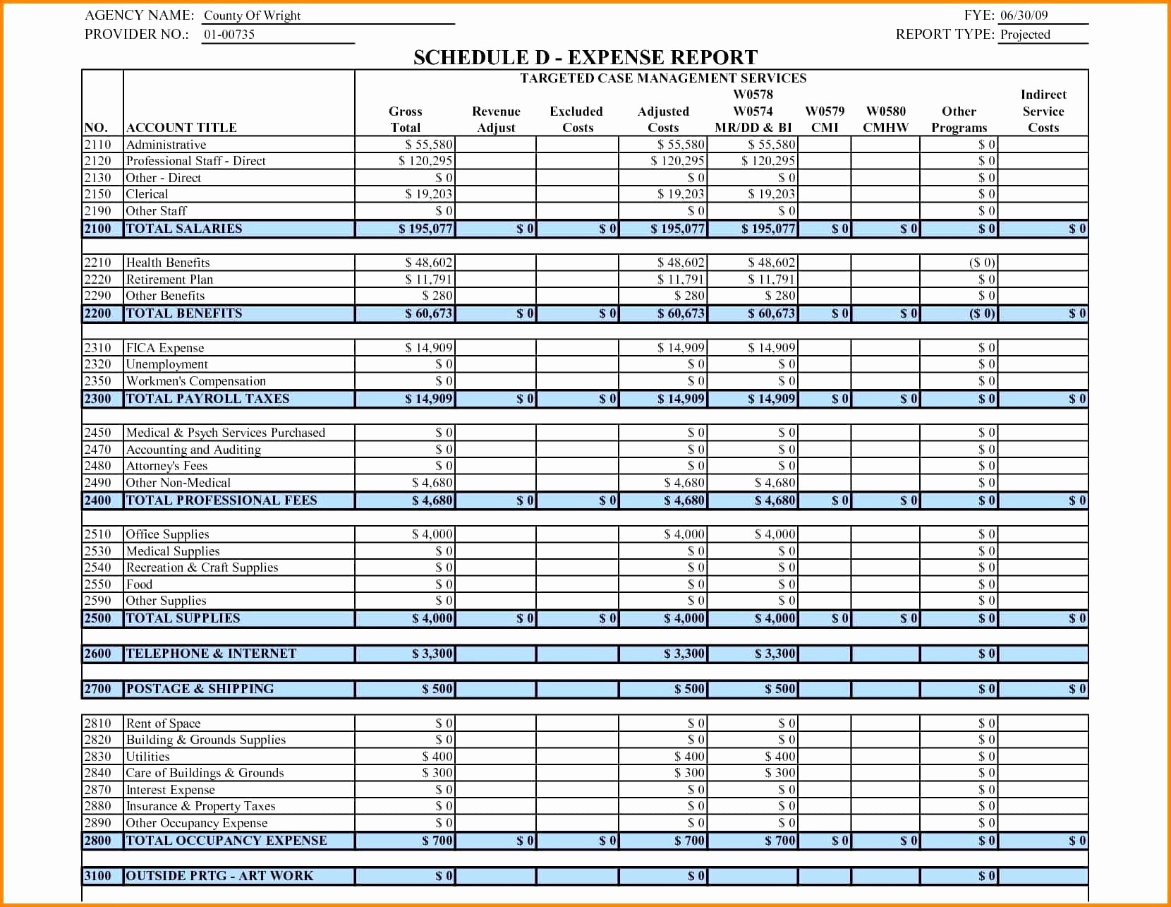 Dave Ramsey Cash Flow Excel Beautiful Bud Document