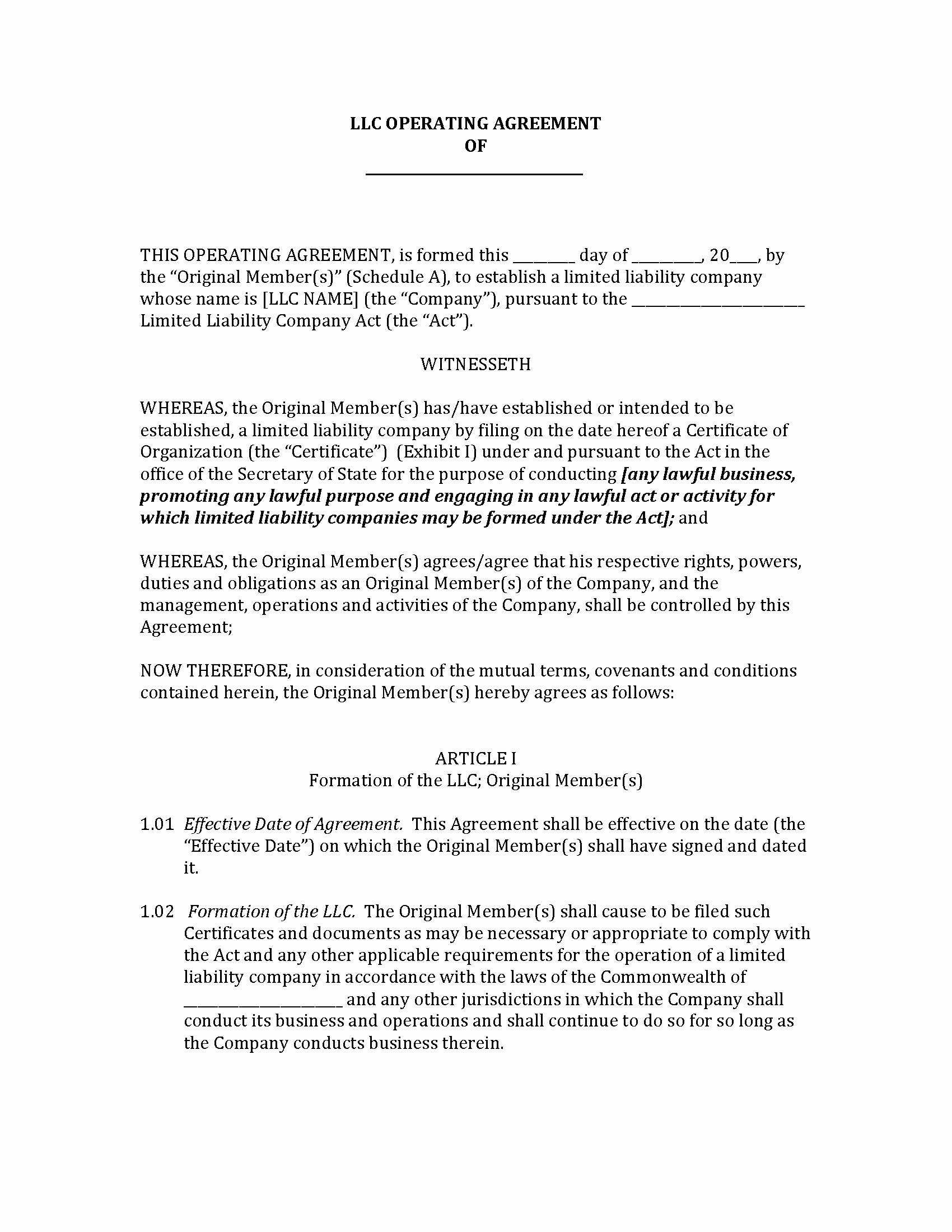 Delaware Single Member Llc Operating Agreement Awesome 50 New Document Oklahoma