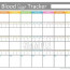 Diabetes Tracking Sheet Tier Crewpulse Co Document Blood Sugar Log Template Excel
