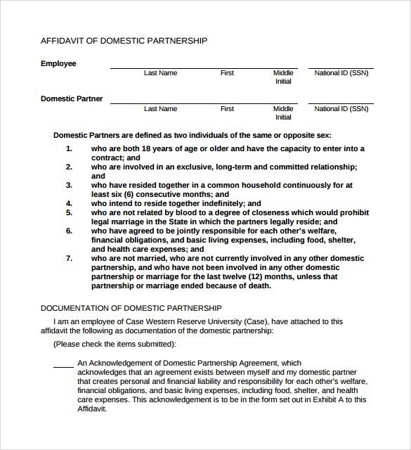Domestic Partner Agreement Sample Awesome Partnership Document