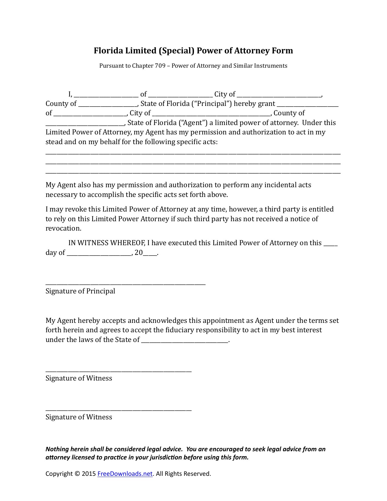 Download Florida Special Limited Power Of Attorney Form PDF Document Free