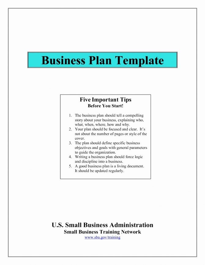 Ecommerce Business Plan Claphambusiness Document