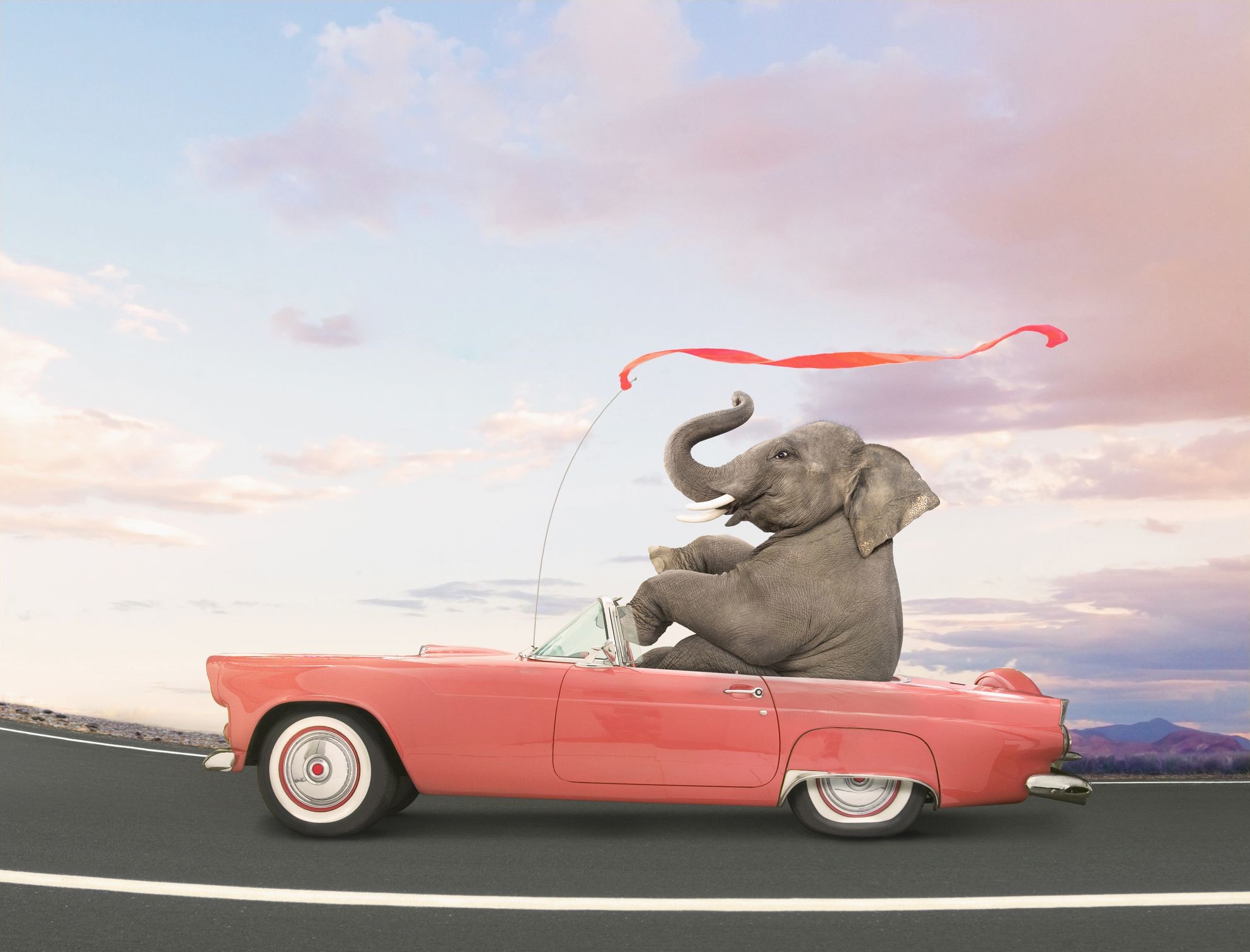 Elephant Auto Insurance Review Document Transamerica