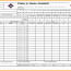 Excel Baseball Stat Tracker Austinroofing Us Document Stats Template