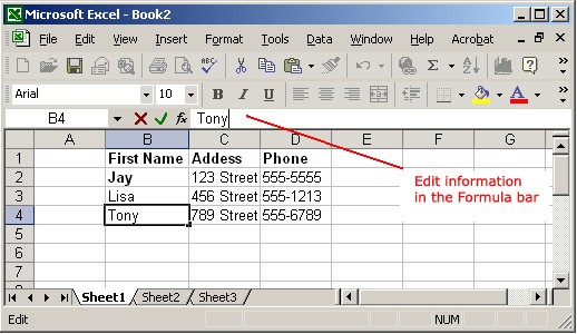 Excel XP Enter Edit And Delete Data Document Entry Bar