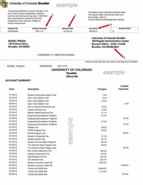 Fake Hospital Bill Template Mickeles Spreadsheet Sample Collection Document