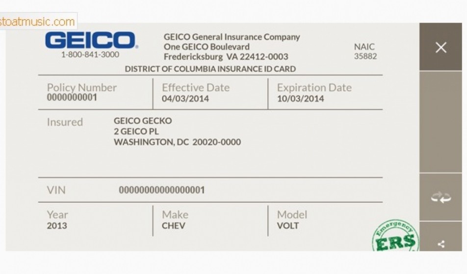 Fake Insurance Card Template Penaime Com Document Geico