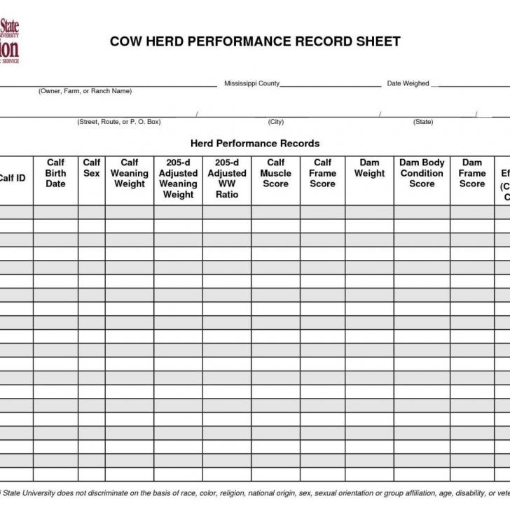 Farm Record Keeping Spreadsheets As Spreadsheet For Mac How To Make Document