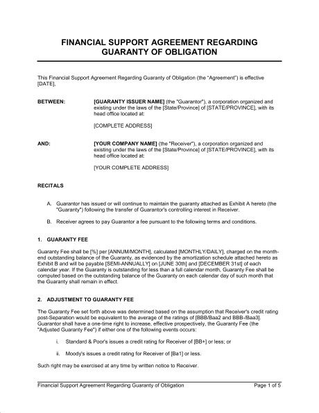 Financial Support Agreement Regarding Guaranty Of Obligation Document Template