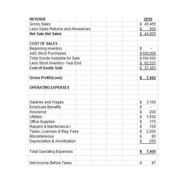 Free Downloadable Excel Pro Forma Income Statement For Small And New Document Business Template