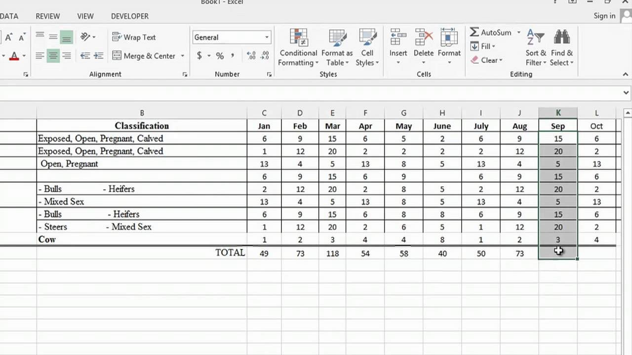 How To Use Microsoft Excel Track Cattle Ranching MS Word Document Inventory Spreadsheet