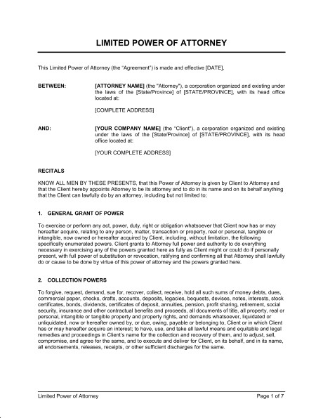 Limited Power Of Attorney Template Sample Form Biztree Com Document Business