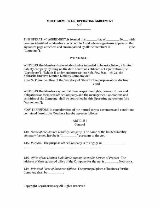 Operating Agreement Llc Template Michigan Sample Document