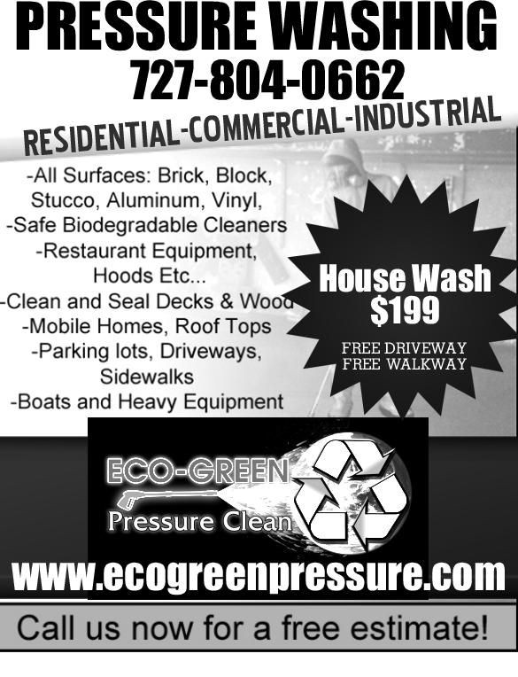Pressure Washing Flyers Ecogreenpressure Flyer 1 From ECO GREEN Document