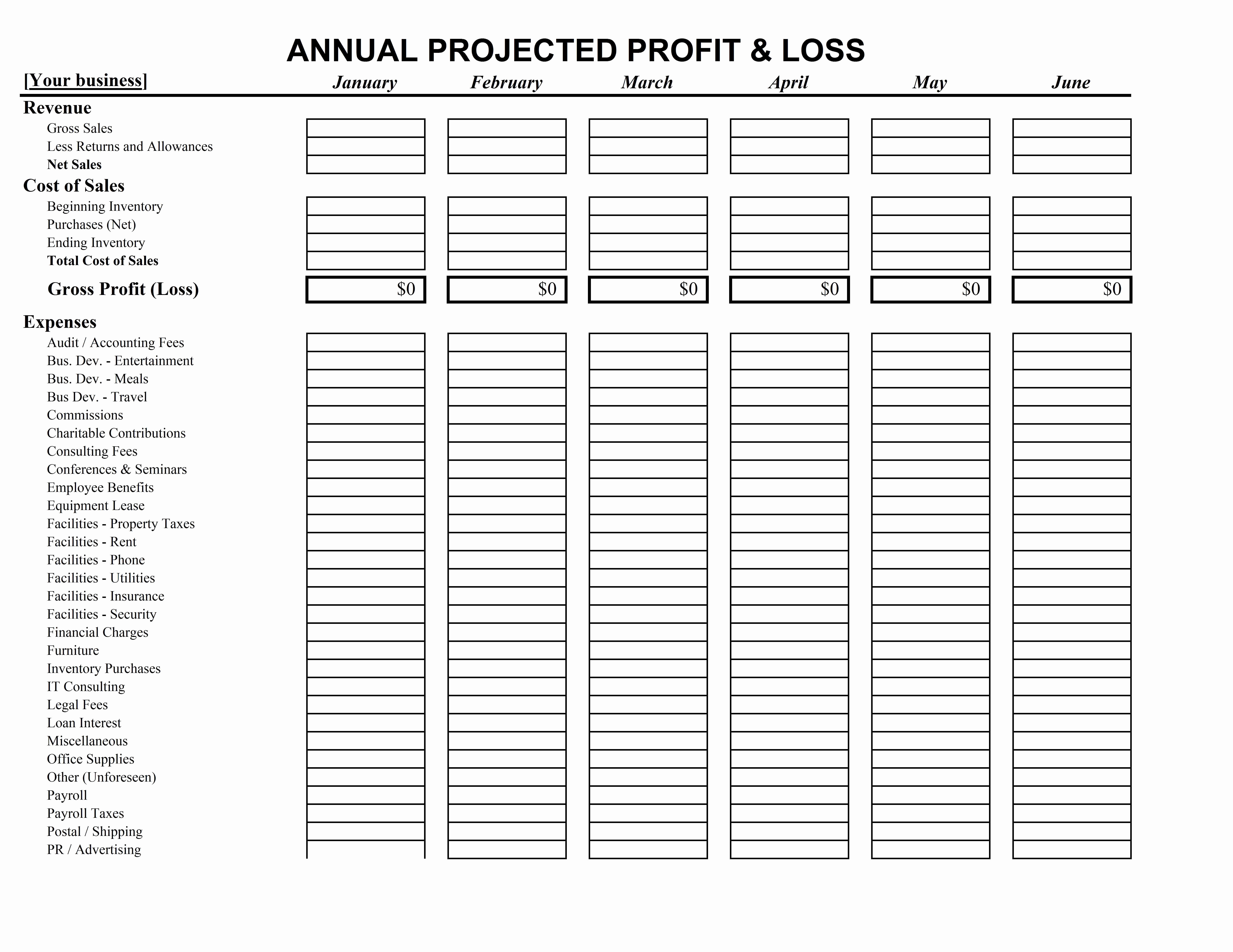 Profit And Loss Forecast Template Excel My Spreadsheet Templates Document Pro