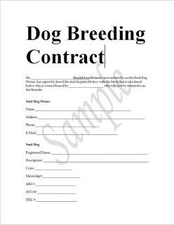 Sample Dog Breeding Contract In Word To Download Contracts Document Template