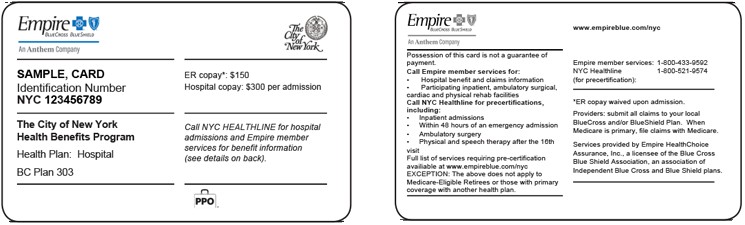 Sample ID Cards Document Of Insurance Card