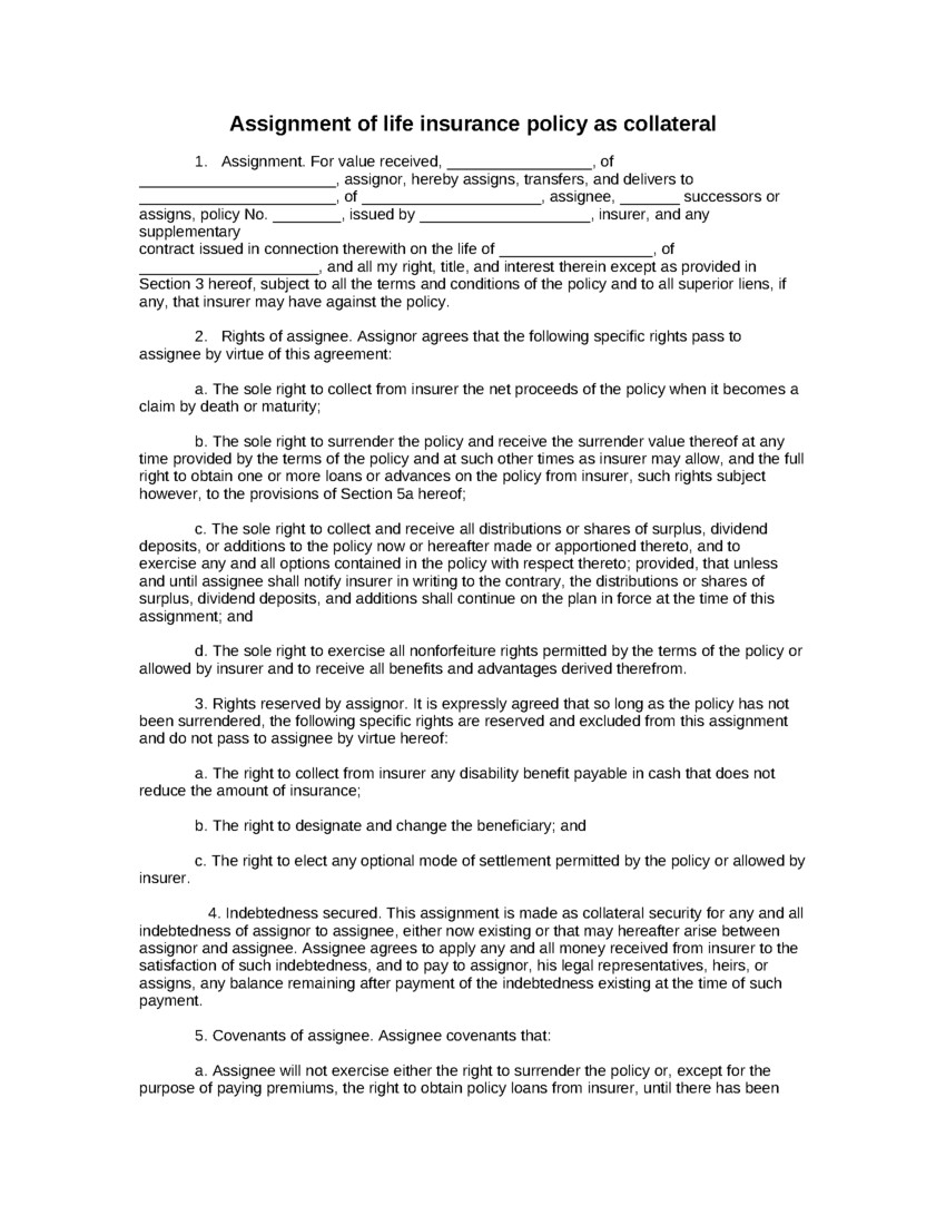 Sample Life Insurance Policies Form Blank Document Policy Template