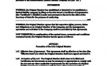 Single Member Llc Operating Agreement Gtld World Congress Document Articles Of Organization Template