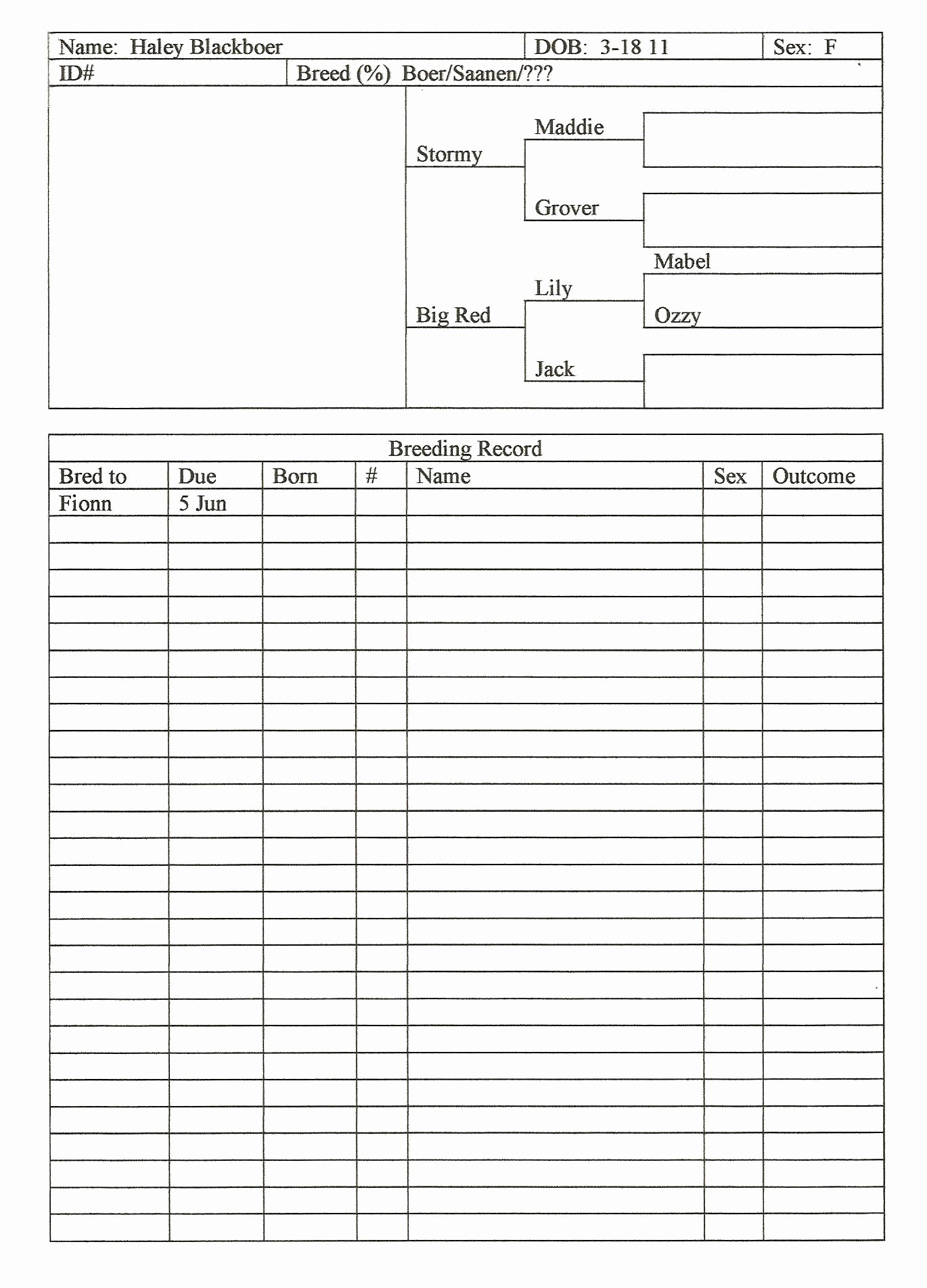 Small Business Accounting Worksheets Lovely How To Record Expenses Document