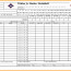 Softball Statistics Spreadsheet Lovely Youth Baseball Stats Document