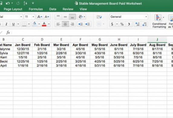 Tips For Stable Owners On Creating A Spreadsheet The 1 Resource Document Pictures
