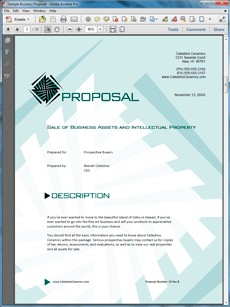 View Sale Of Business And Assets Sample Proposal Projects To Try Document Template