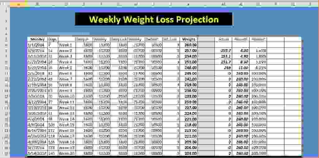 Weight Loss Competition Spreadsheet On Free How To Document