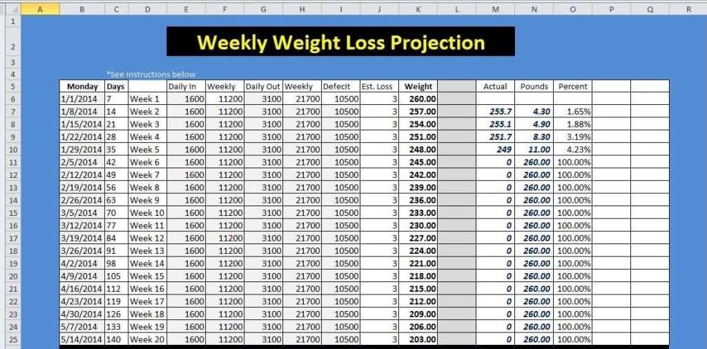 Weight Loss Sheet Sivan Crewpulse Co Document Challenge Spreadsheet