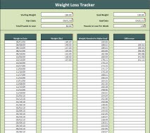 Weight Loss Tracker Spreadsheet Document