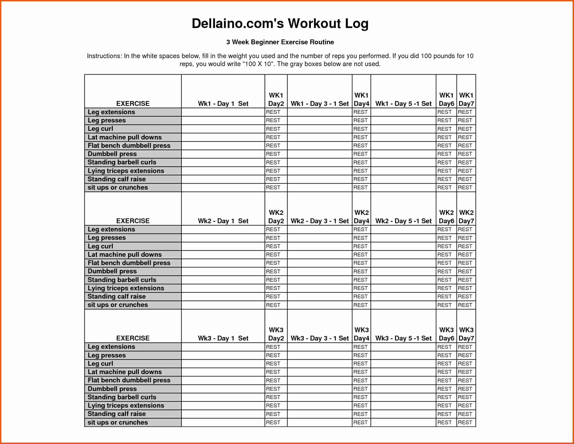 Weightlifting Excel Sheet New Spreadsheet Luxury Document