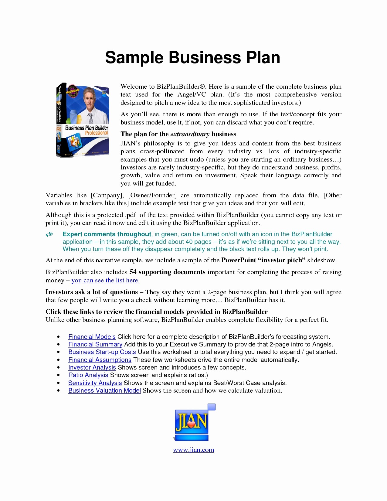 50 New Mini Business Plan Sample DOCUMENTS IDEAS Document Template