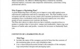 8 Startup Marketing Plan Templates PDF DOC Free Premium Document Template