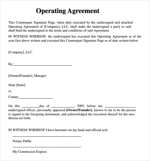 9 Business Operating Agreement Examples PDF Document Basic