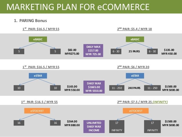 9 E Commerce Marketing Plan Examples PDF Document Ecommerce Template