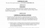 Articles Of Organization Llc Georgia Template New Document
