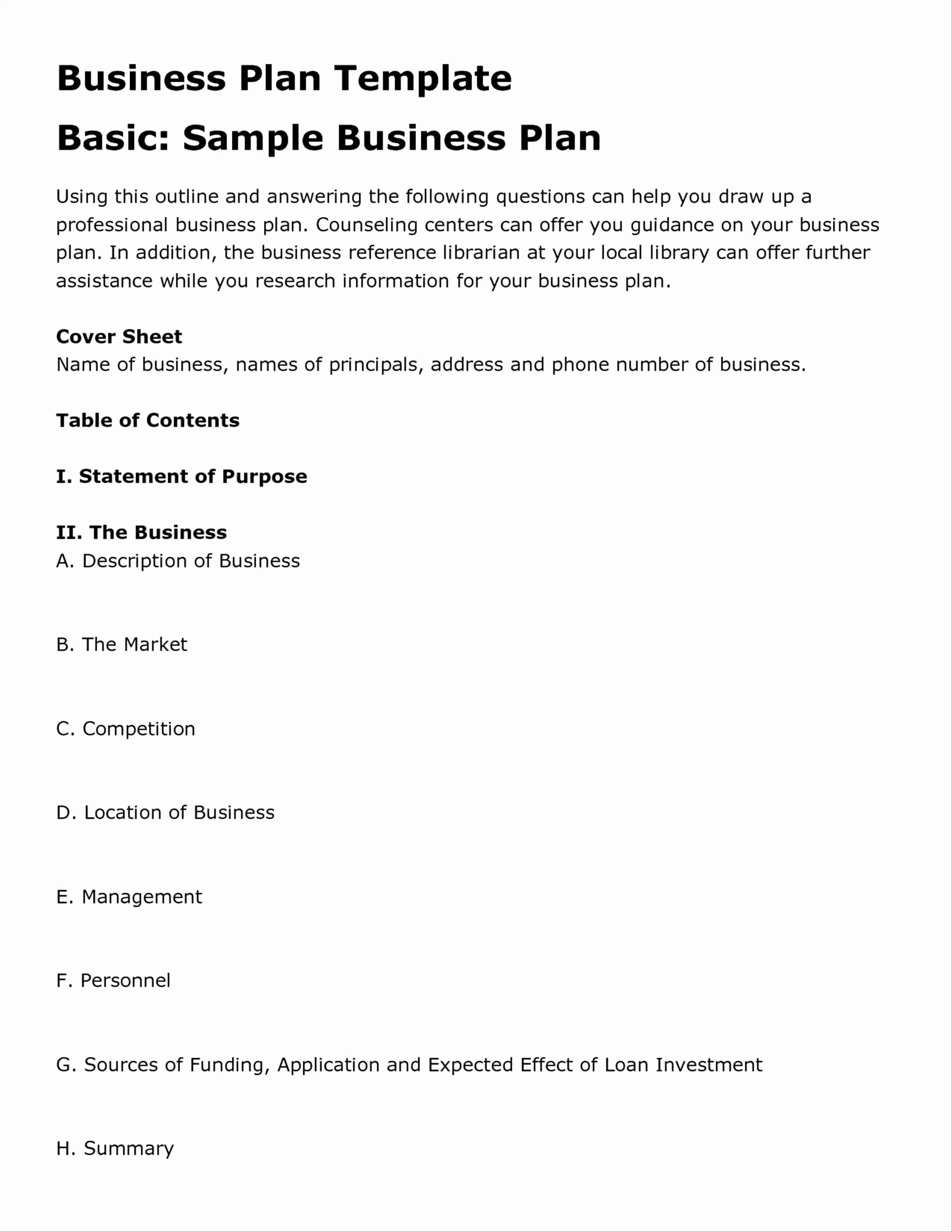 Business Contingency Plan Template Unique Small Document Example