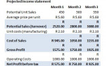 Business Plan Template For A Financial Document Of