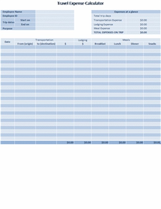 Business Travel Expense Log Document Template