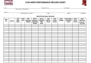 Cattle Record Keeping Spreadsheet As Online How To Document Template Excel