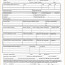 Certified Rent Roll Template Beautiful Apartment Document